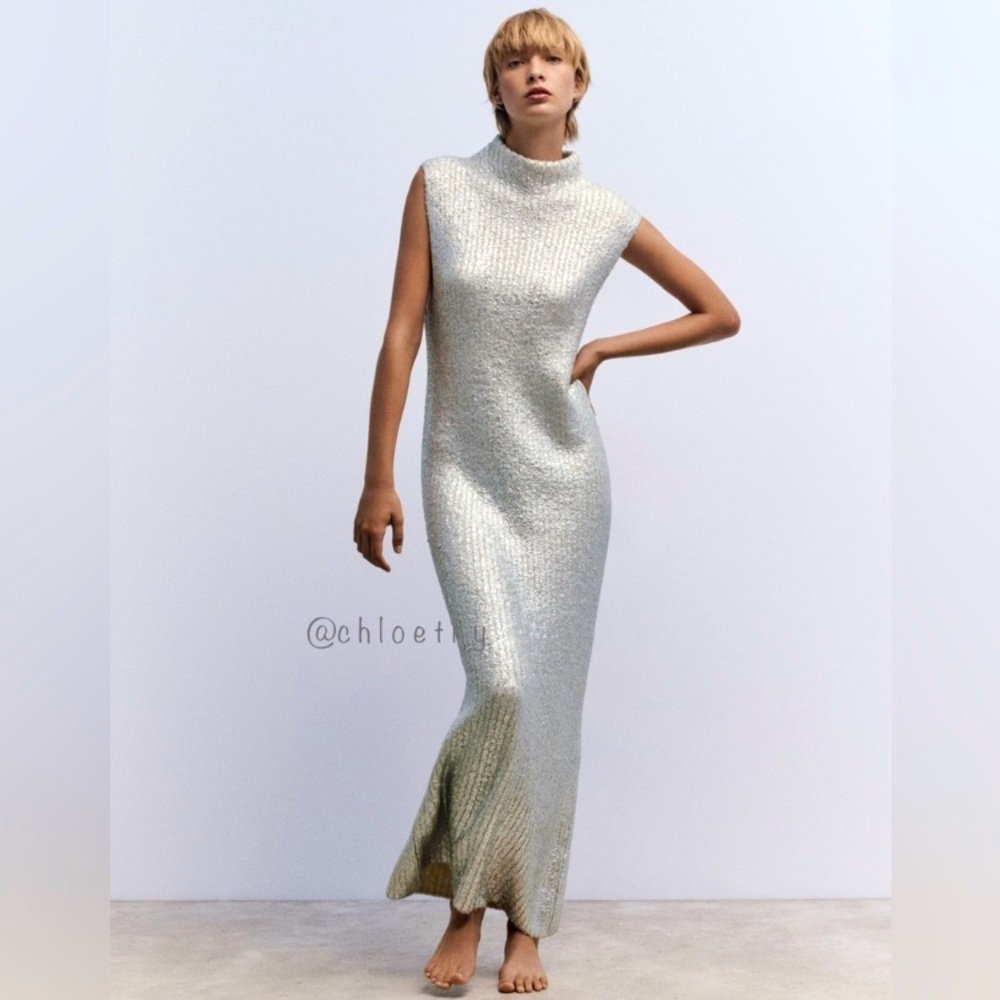 Zara Silver Maxi Dress